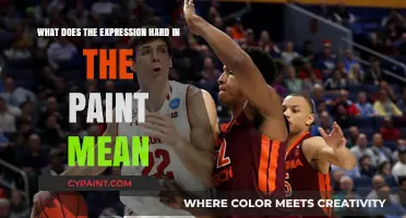 The Meaning of "Hard in the Paint" Expression