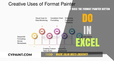Excel's Format Painter: Instant Style Duplication