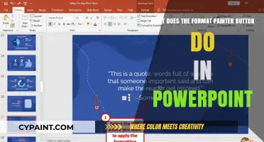 Format Painter Button: Easy PowerPoint Design Magic