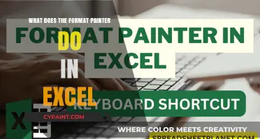 Master Excel's Format Painter: Copy Styles Effortlessly in Spreadsheets