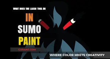 Sumo Paint's Lasso Tool: Select, Cut, and Create!