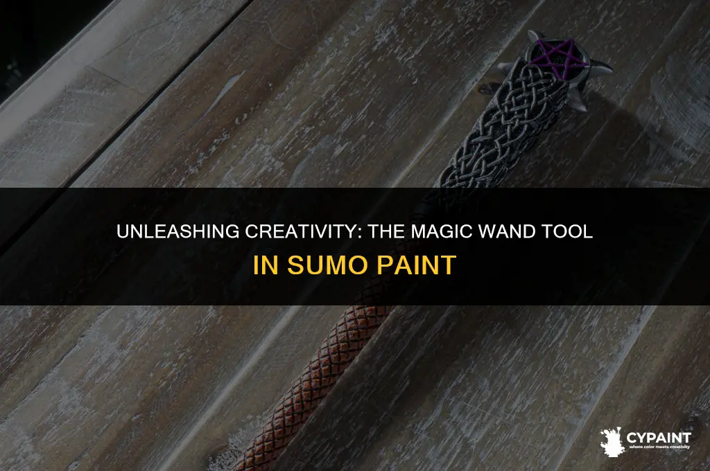 what does the magic wand tool do in sumo paint