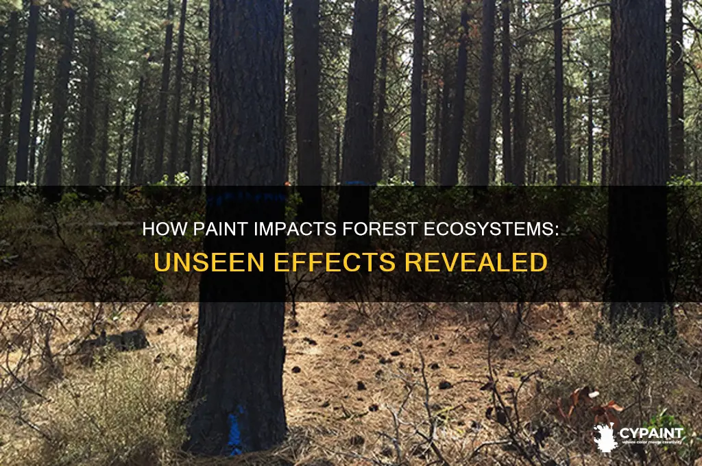 what does the paint do in the forest