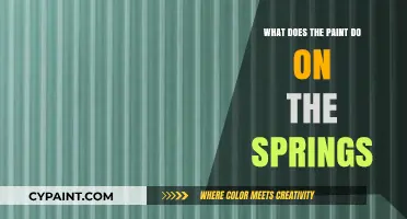 Understanding the Role of Paint on Springs: Function and Benefits