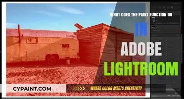 Exploring the Paint Function in Adobe Lightroom