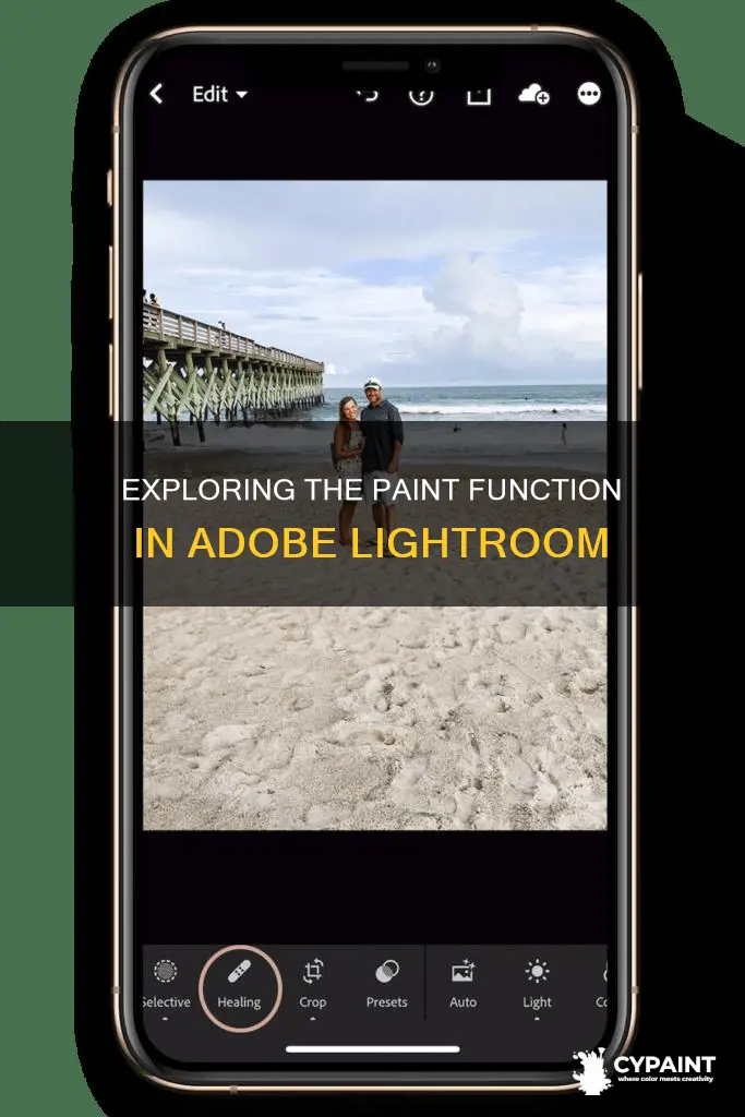 what does the paint function do in adobe lightroom