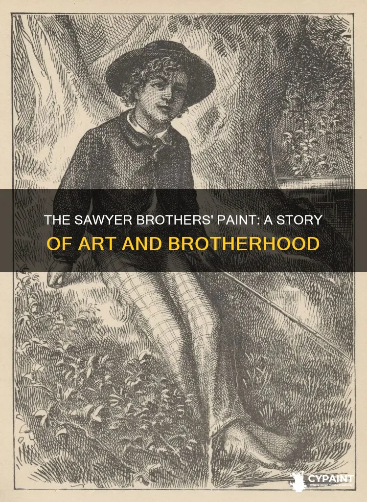 what does the paint the sawyer brothers tell us