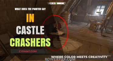 Unveiling the Painter's Mysterious Dialogue in Castle Crashers Gameplay