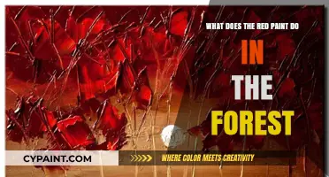 The Red Paint Mystery in the Forest