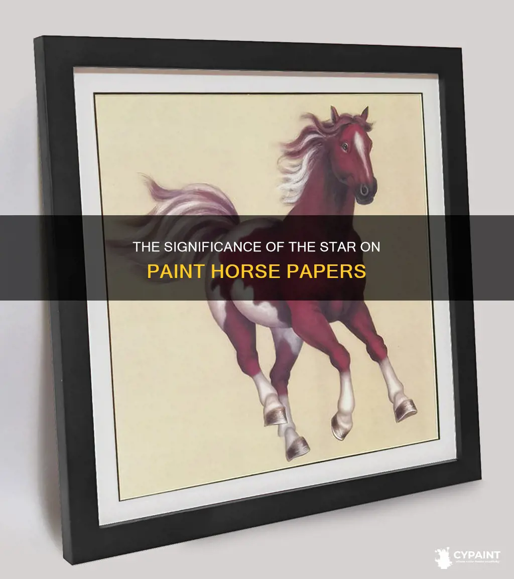 what does the star on paint horse papers mean