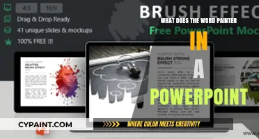 Understanding the Role of a Painter in PowerPoint Design and Creation
