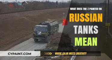Russian Tanks: What's the Meaning of the 'Z' Symbol?