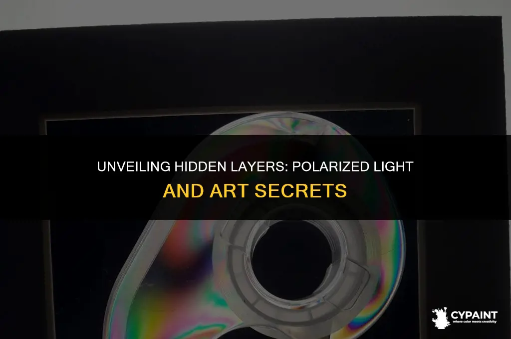 what does viewing a painting in polarized light tell you