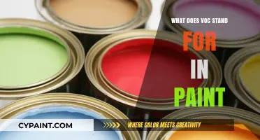 Understanding VOC in Paint: Meaning, Impact, and Health Considerations