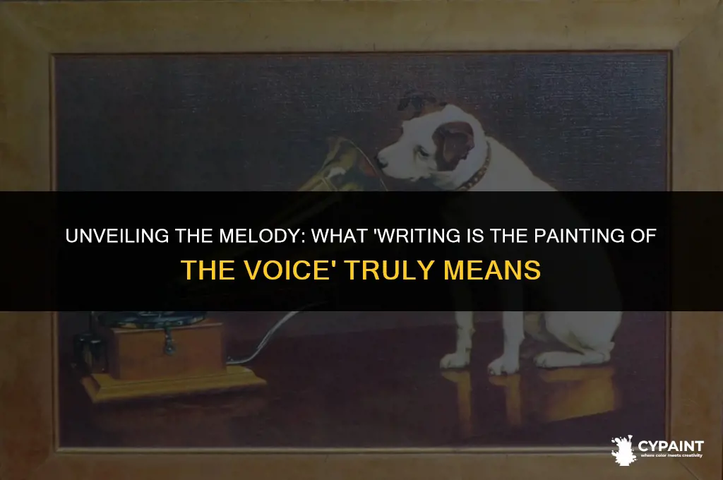 what does writing is the painting of the voice mean