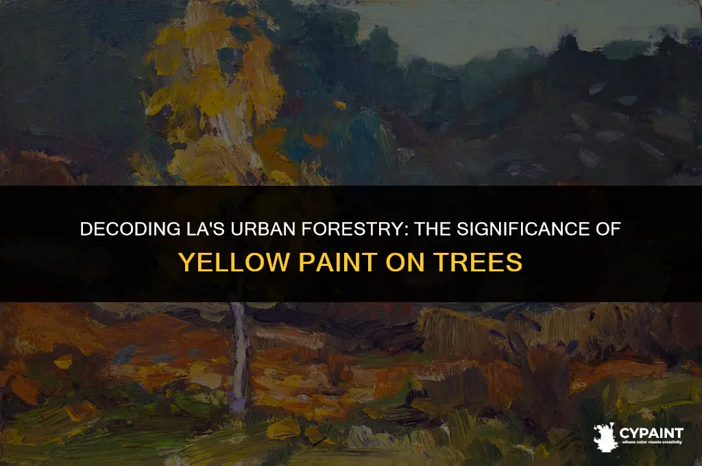 what does yellow paint on a tree mean in la