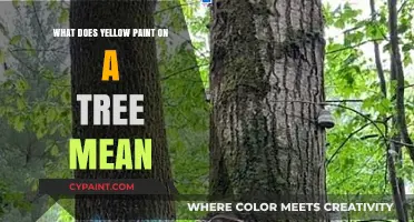 Decoding Yellow Paint on Trees: Unveiling the Hidden Meaning and Purpose
