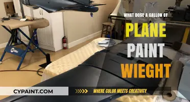 How Much Does a Gallon of Plane Paint Weigh?