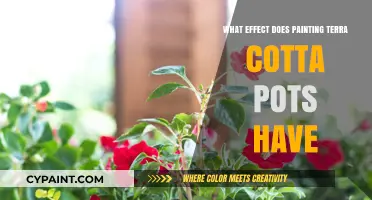 Painting Terra Cotta Pots: Enhancing Durability, Aesthetics, and Plant Health