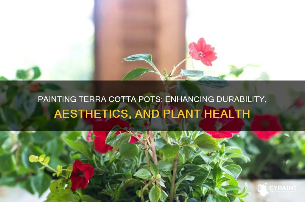 what effect does painting terra cotta pots have