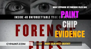 Forensic Files: Paint Chips as Evidence