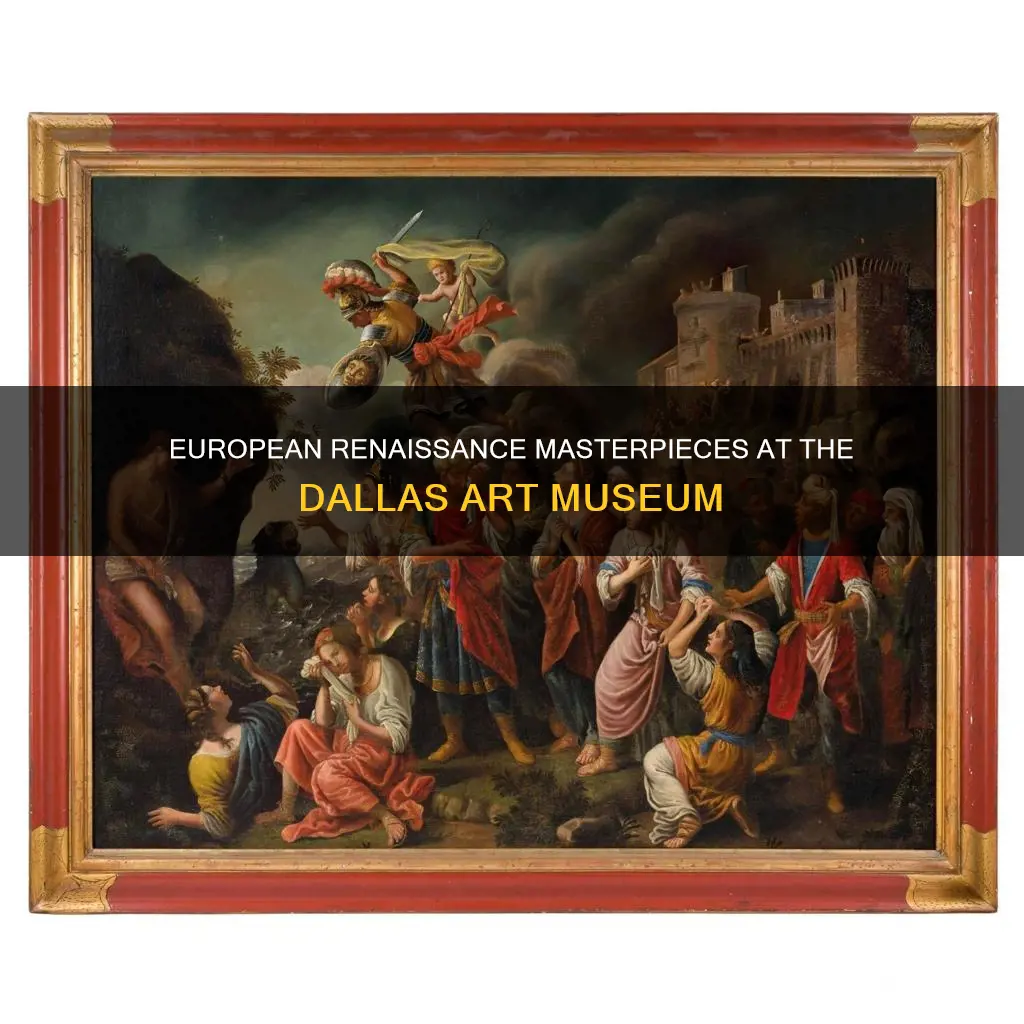 what europeanrenaissance paintings are at the dallas art museum