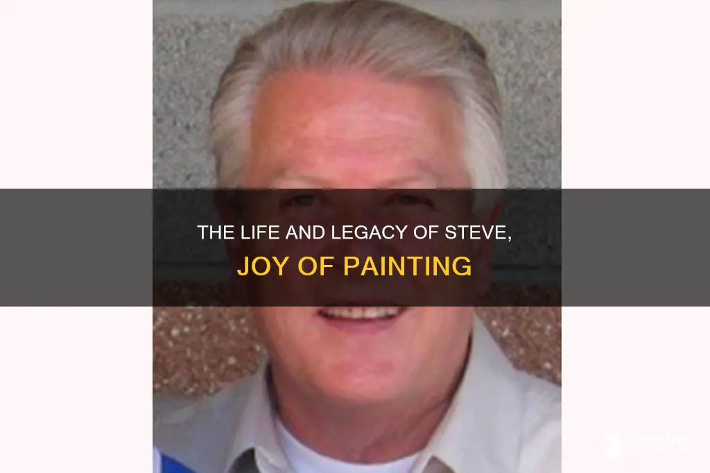 what ever happened to steve from joy of painting