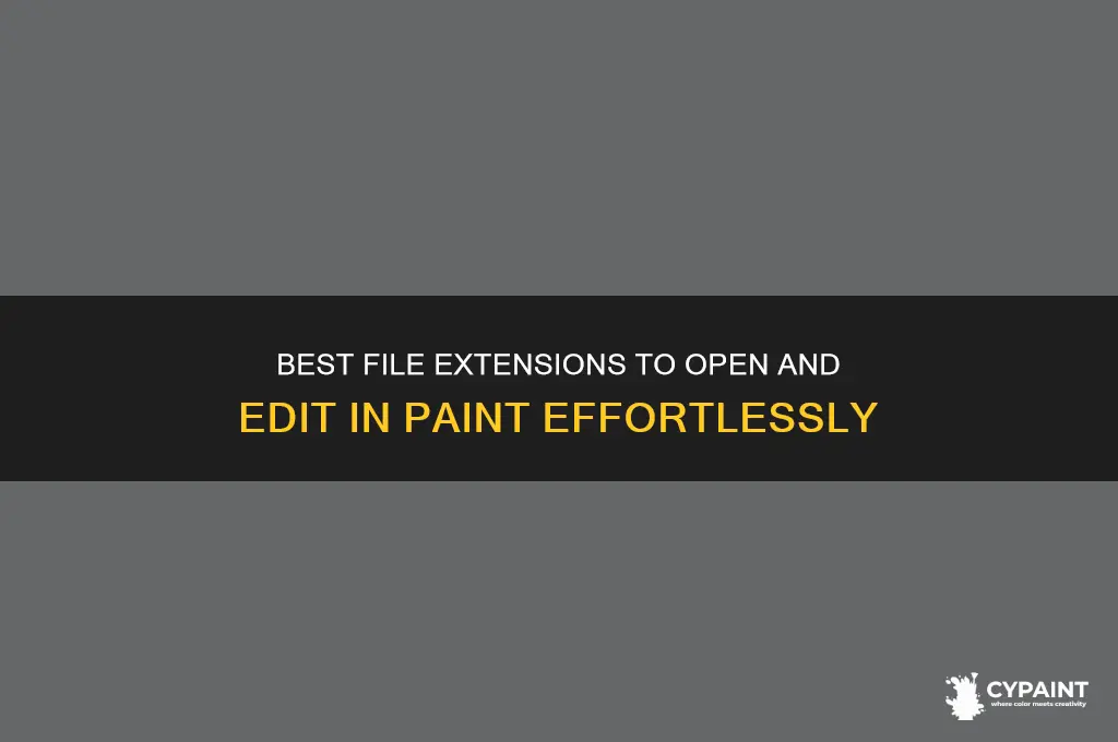 what extension is appropriate to open in paint