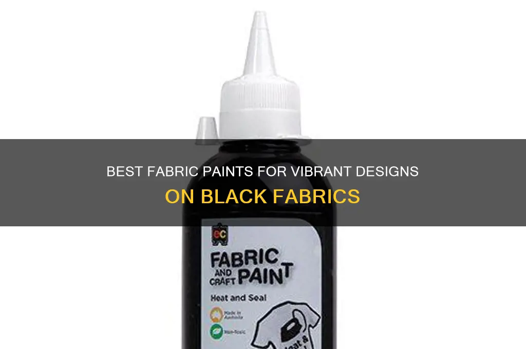 what fabric paints show up on blaxk fabrics