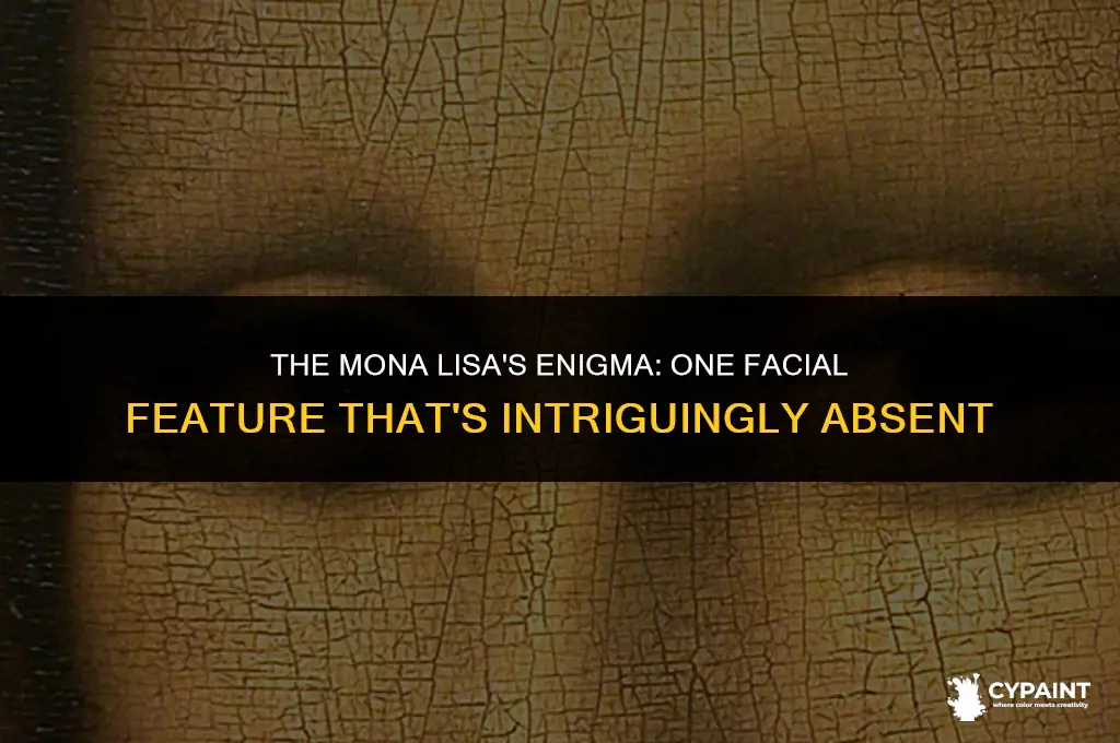 what facial feature is missing from the mona lisa painting
