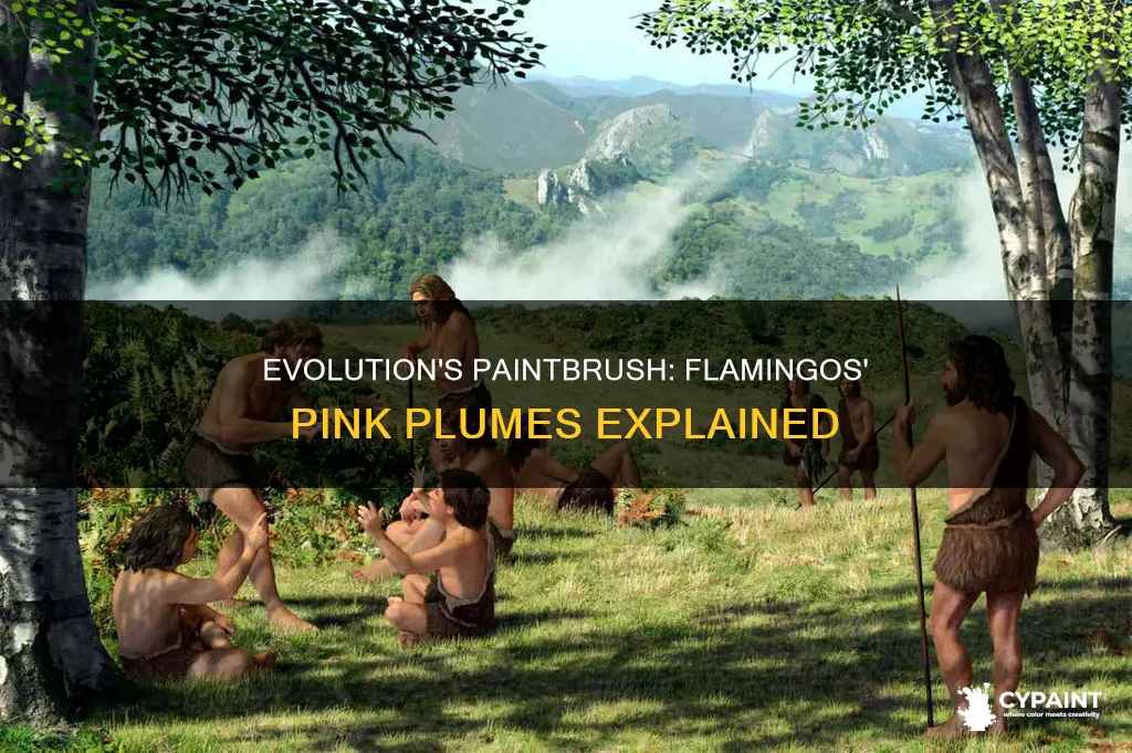 what factors came together to paint the american flamingo