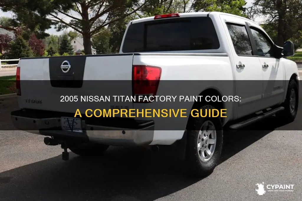 what factory paint is on 2005 nissan titan