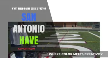 X Factor San Antonio's Paint Field Options