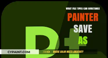 Substance Painter Export Options: Supported File Types for Saving Projects