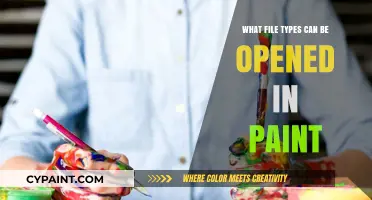 Discover Which File Types Paint Can Open and Edit Easily