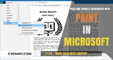 Paint Files: Microsoft's Native Formats