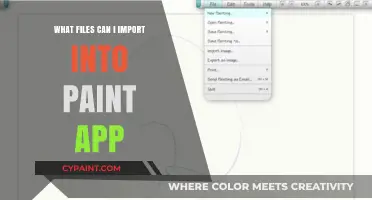 Importing Files into Paint App: Supported Formats and Compatibility Guide