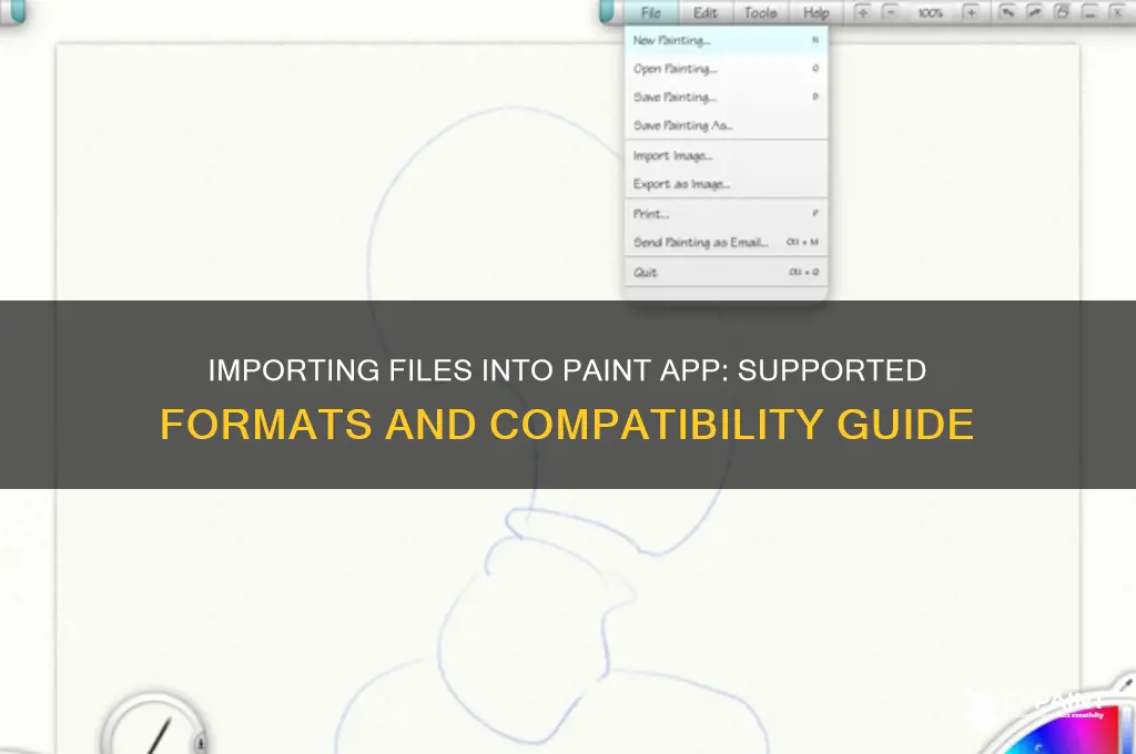 what files can i import into paint app