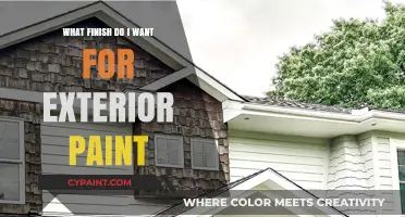 Choosing the Perfect Exterior Paint Finish: A Comprehensive Guide