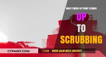 Durable Paint Finishes: Which Ones Withstand Scrubbing and Cleaning?