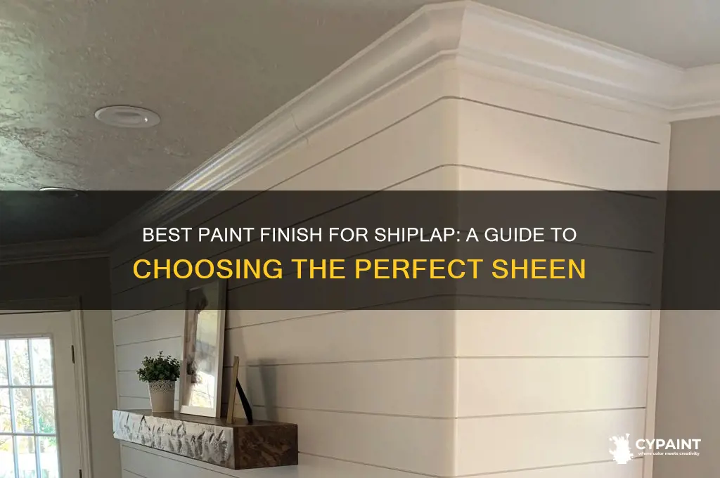 what finish paint do you pain shiplap in
