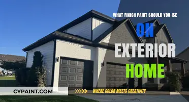 Choosing the Right Exterior Paint Finish for Your Home