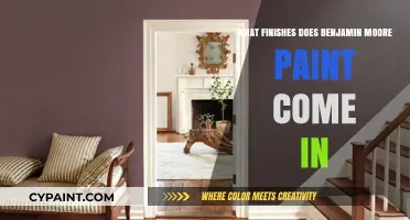 Explore Benjamin Moore Paint Finishes: Sheen Options for Every Project