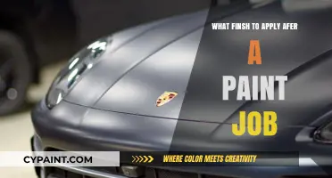 Best Finish Options to Enhance and Protect Your Fresh Paint Job