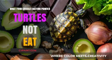 Harmful Foods to Avoid in Eastern Painted Turtle Diets
