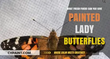 Fresh Foods for Painted Lady Butterflies