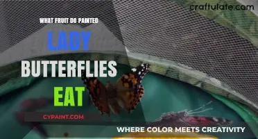 Painted Lady Butterflies' Favorite Fruits: A Guide to Their Diet