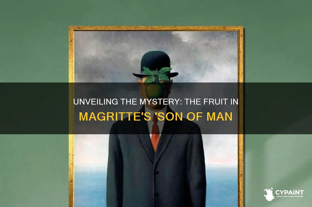 what fruit is in painting son of man