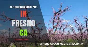 Best Fruit Trees to Paint in Fresno, CA