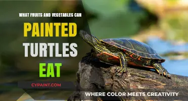 Safe and Healthy Fruits and Vegetables for Painted Turtles' Diet